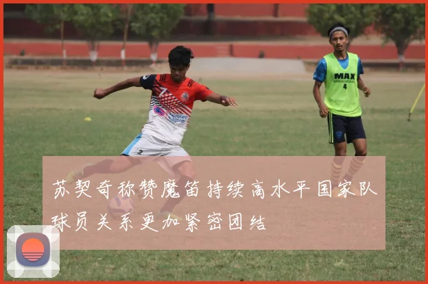 苏契奇称赞魔笛持续高水平国家队球员关系更加紧密团结