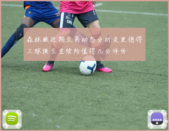 森林狼近期交易动态分析走里德得三球换兰豆续约值得几分评价
